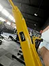 Biceps Curl