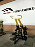 Biceps Curl